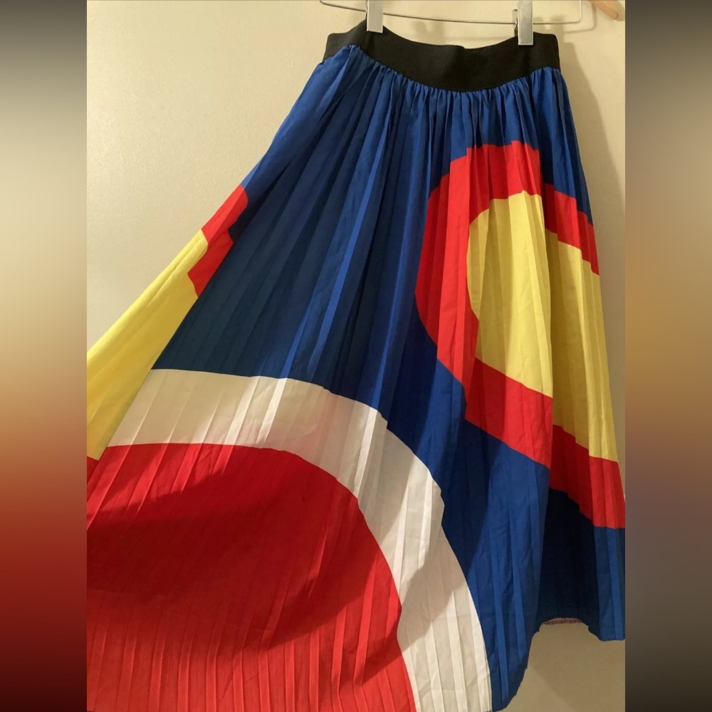 Women’s Maxi Color Block Pleated A-Lined Skirt
Size Small - Picture 3 of 5